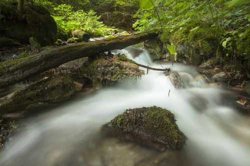 Photographing at the base of Ceahlau Mountain – Basics of Landscape Photography – Ep11