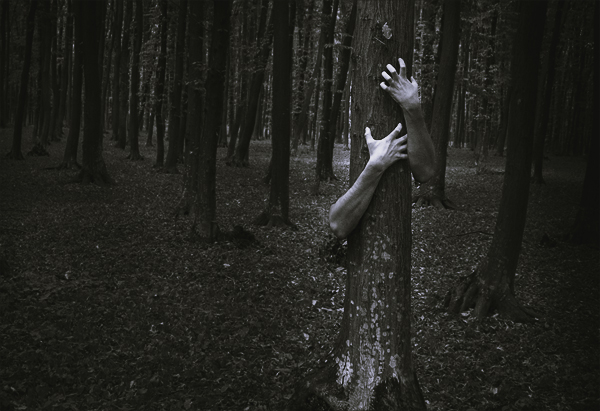 Adding hands to a tree with Photoshop CC