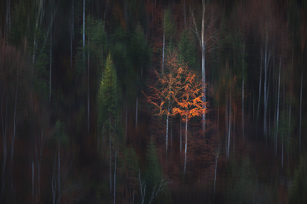 Motion blur creativity in Photoshop CC