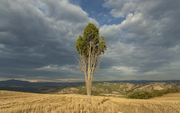 Improve your landscape photography by breaking the rules