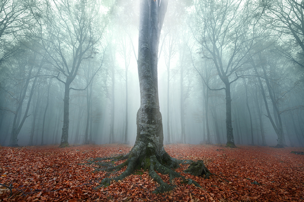 Showcase my photos from this autumn – thoughts and ideas Part 2