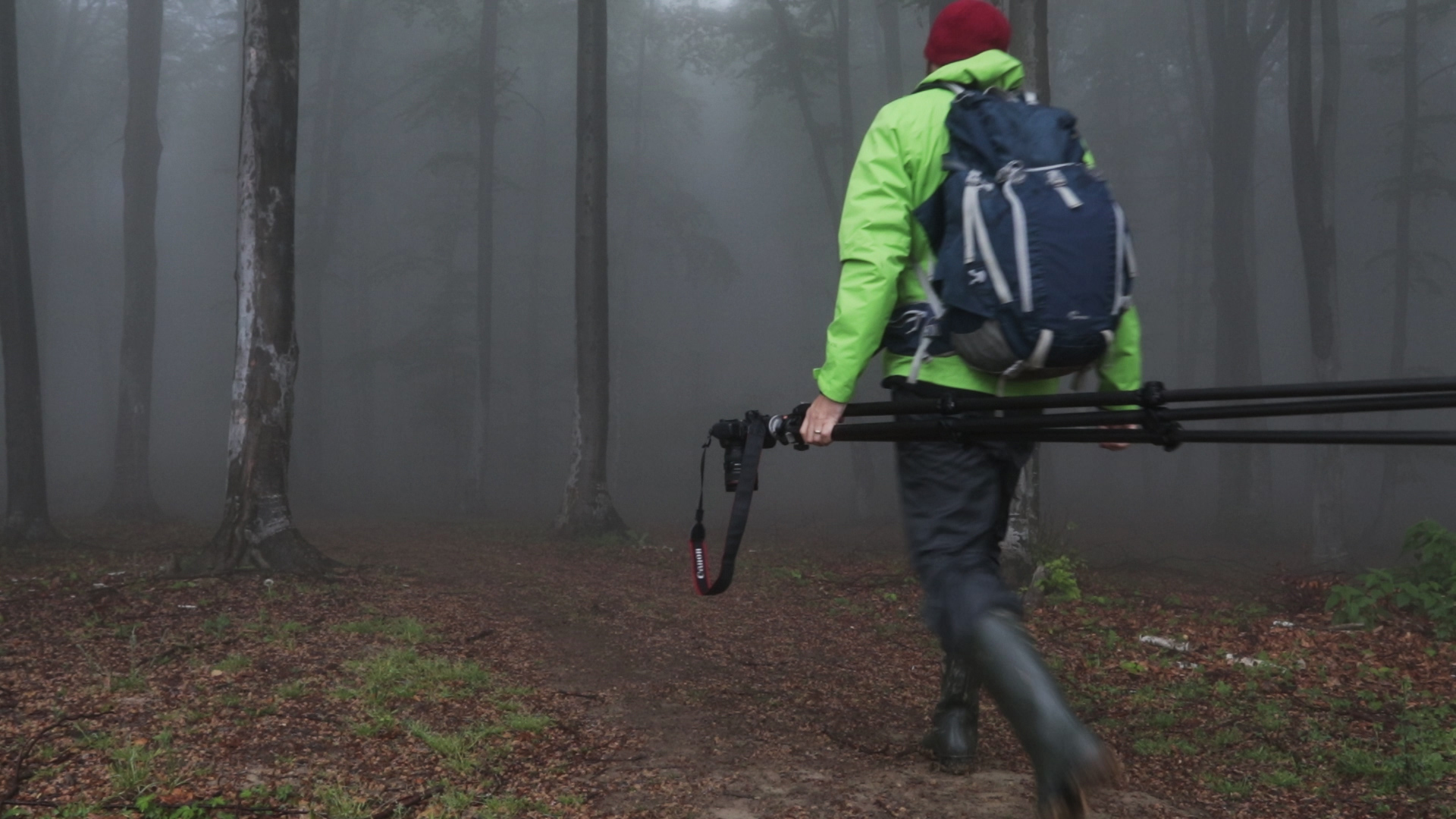 Landscape photography vlog – Tips for photographing in foggy forests