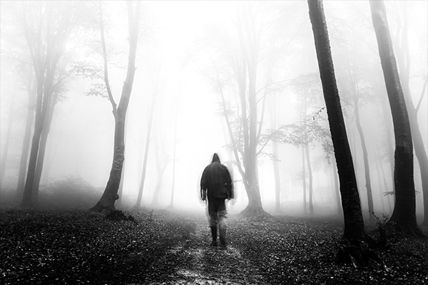 Foggy forest selfies – photography vlog