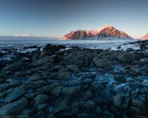 IMG_0287 web
