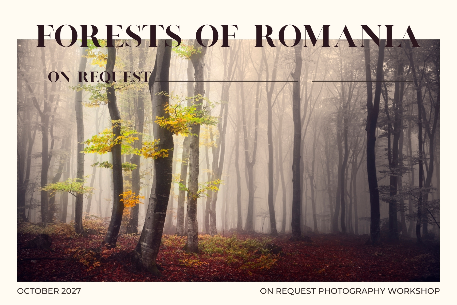 ON REQUEST Autumn Forests of Romania, October 2027