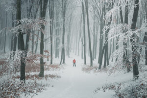 Man hiker in red in winter snow coverd forest