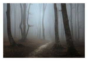 A15A6563 copy web