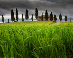 IMG_0897 web