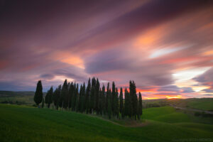 IMG_0929 web