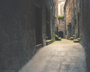 IMG_1029 web