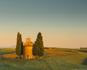 IMG_1285 web
