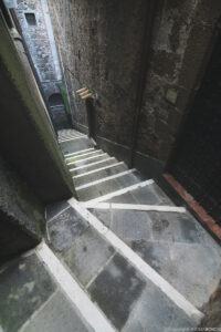 IMG_2714 web