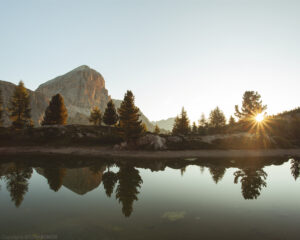 IMG_4413 web