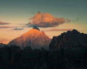 IMG_4562 web